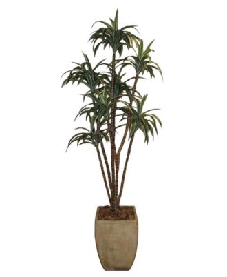 Plant P9